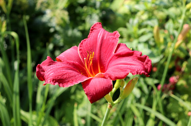 Similar image 22243694