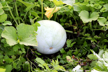 Similar image 22243695