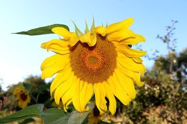 Similar image 22243696