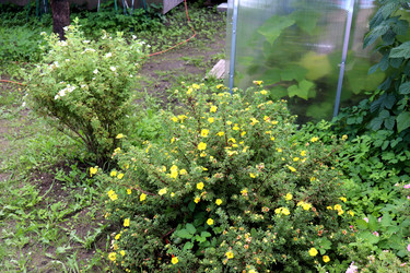 Similar image 22243697