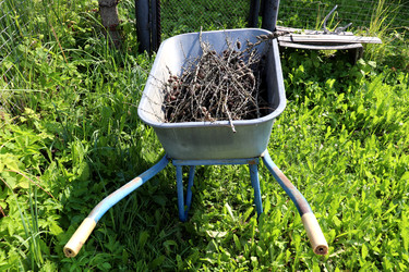 Similar image 22243698