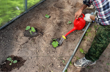 Similar image 22243699