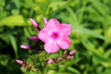 Similar image 22243700