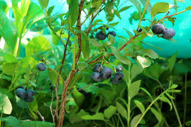 Similar image 22243701