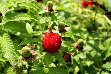 Similar image 22243702