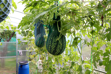 Similar image 22243703