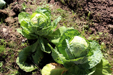 Similar image 22243704