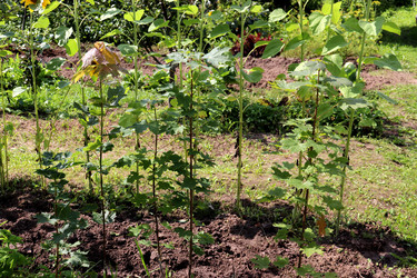 Similar image 22243705