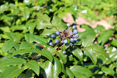 Similar image 22243706