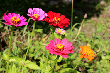 Similar image 22243707