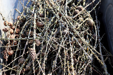 Similar image 22243708