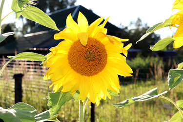 Similar image 22243710