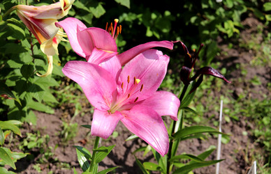 Similar image 22243713