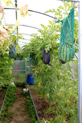 Similar image 22243714