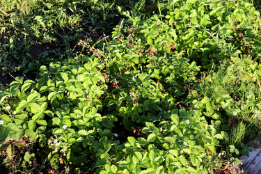 Similar image 22243715