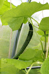 Similar image 22234815