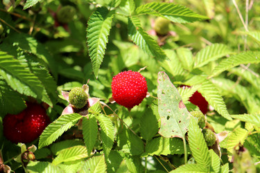 Similar image 22234816