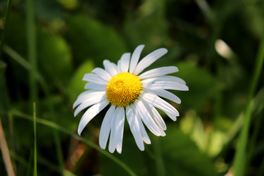 Similar image 22234817