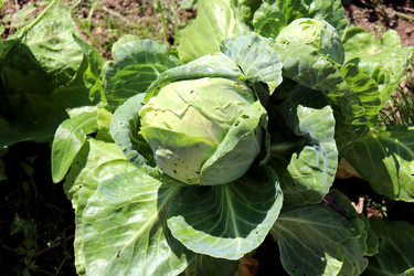 Similar image 22235887