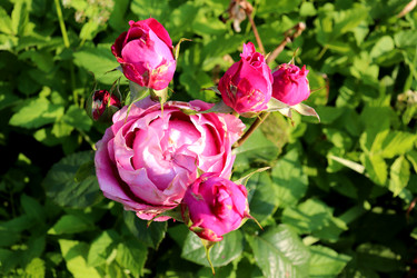 Similar image 22235888