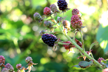 Similar image 22235889