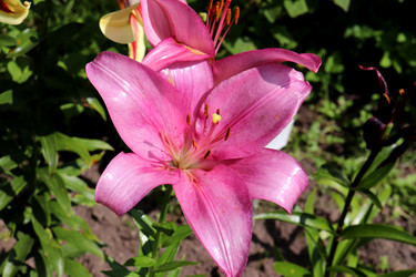 Similar image 22236430