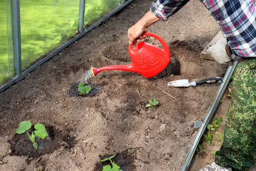 Similar image 22236431