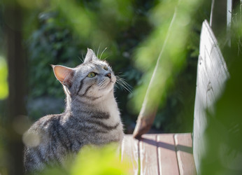 Similar image 22236769