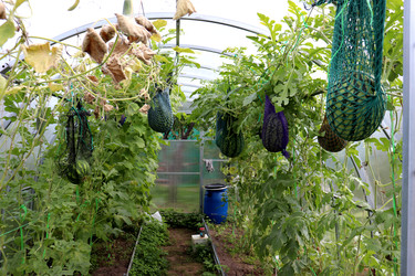 Similar image 22235891