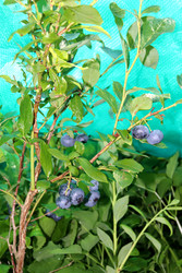 Similar image 22233665