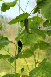 Similar image 22233666