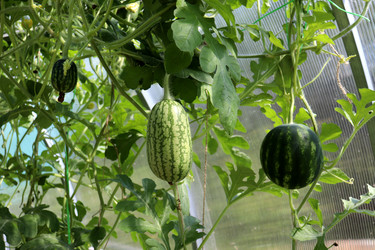 Similar image 22233667