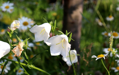 Similar image 22233723