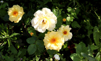 Similar image 22233724