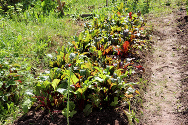 Similar image 22233726