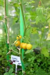 Similar image 22233729