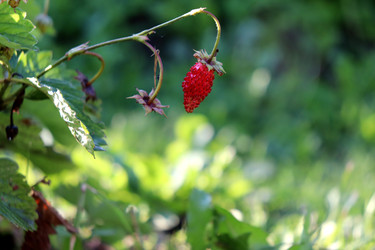 Similar image 22233730