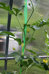 Similar image 22233732