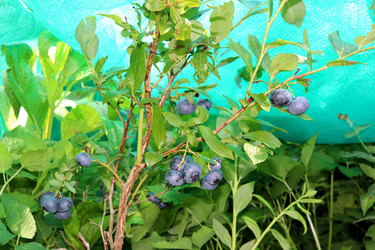 Similar image 22234818