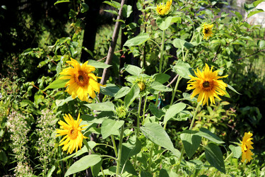 Similar image 22234819