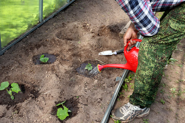 Similar image 22234820