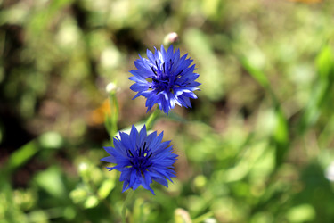 Similar image 22234821