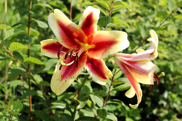 Similar image 22234822