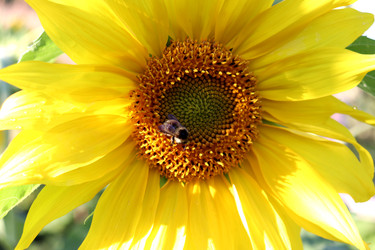 Similar image 22235892