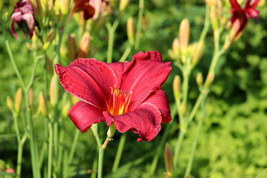 Similar image 22235894