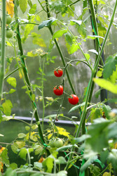 Similar image 22235895