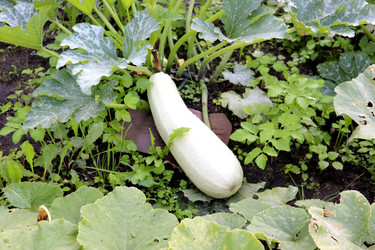 Similar image 22236436