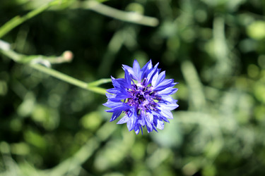 Similar image 22233734