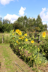 Similar image 22236437