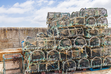 Similar image 22257905